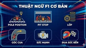 thuat-ngu-f1-co-ban
